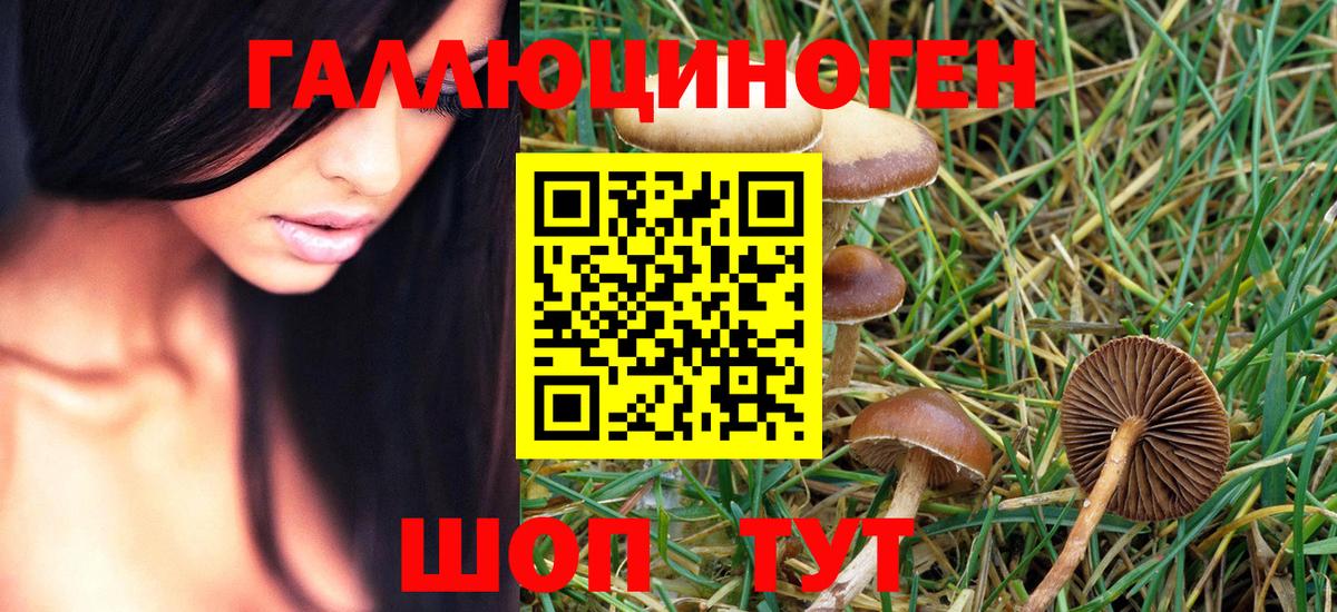 Псилоцибиновые грибы Psilocybe  Галлюциногенные грибы Psilocybe  Михайловск  Вход с VPN 